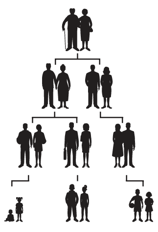 animated family tree diagram using people