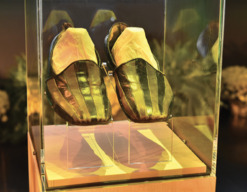 Peter Nwosu shoes