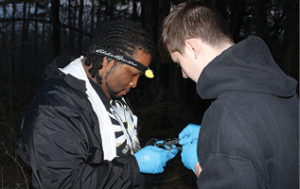 Jamal Lavine ’16 and Anthony Macchiano ’17 measure an amphibian found on the Rice Creek Field Station grounds.