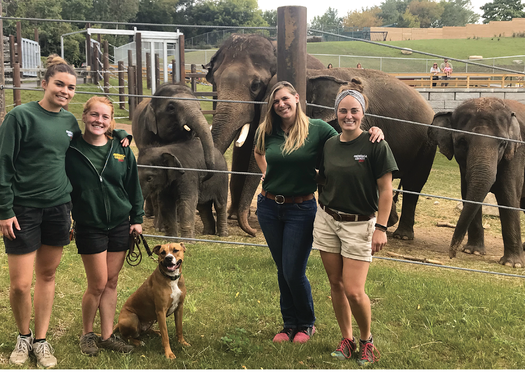 Oswego alumnae posing for photo with elephants at the Rosamond Gifford Zoo in Syracuse.